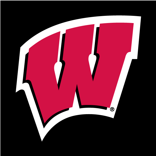 Wisconsin Badgers 1991-Pres Alternate Logo v2 iron on transfers for T-shirts